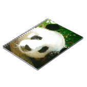 Carnet Visage de panda (Côté gauche)