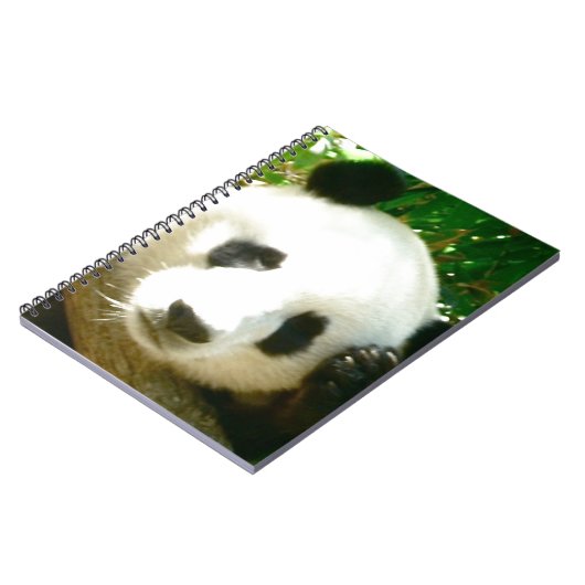 Carnet Visage de panda (Côté gauche)