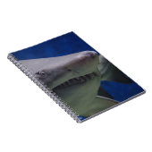 Carnet Visage de requin (Côté Droit)