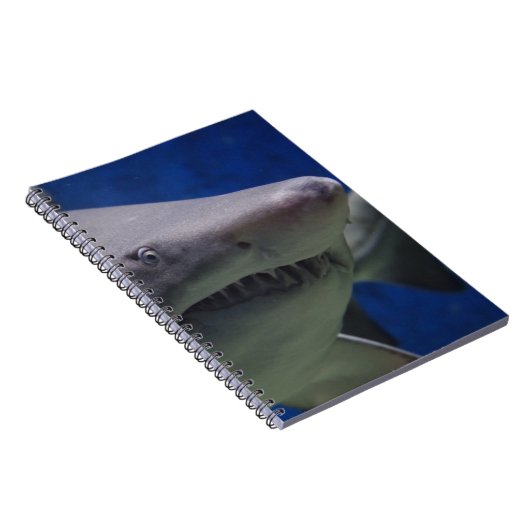 Carnet Visage de requin (Côté Droit)