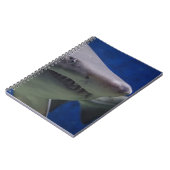 Carnet Visage de requin (Côté gauche)