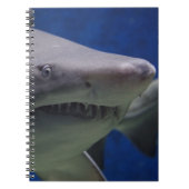 Carnet Visage de requin (Devant)