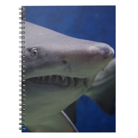 Carnet Visage de requin (Devant)