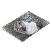 Carnet Visage de tortue (Côté gauche)