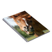Carnet Visage drôle de cheval avec lèvres courbées, oeil  (Côté Droit)