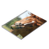 Carnet Visage drôle de cheval avec lèvres courbées, oeil  (Côté gauche)