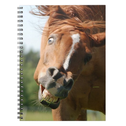 Carnet Visage drôle de cheval avec lèvres courbées, oeil  (Devant)