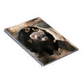 Carnet Visage Ferret (Côté Droit)