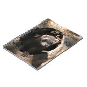 Carnet Visage Ferret (Côté gauche)