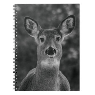 Carnet Visage noir et blanc de cerfs