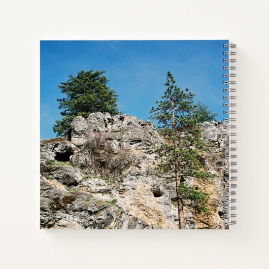 Carnet Visages...... (Dos)