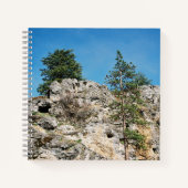 Carnet Visages...... (Devant)