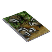 Carnet Viser (Côté Droit)