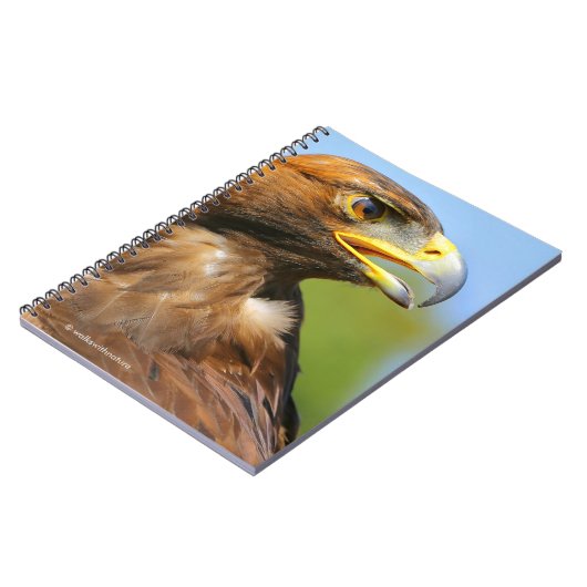 Carnet Vision d'un bel aigle d'or jeune (Côté gauche)