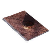 Carnet Vitesse (Côté Droit)
