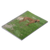 Carnet vizsla complet (Côté gauche)