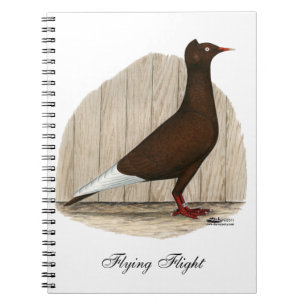 Carnet Vol Casquette rouge Pigeon