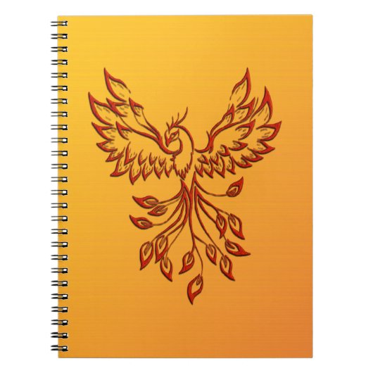 Carnet Vol d'un Phoenix (Devant)