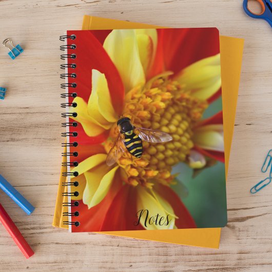 Carnet Vol stationnaire sur Dahlia orange et jaune