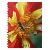 Carnet Vol stationnaire sur Dahlia orange et jaune (Devant)