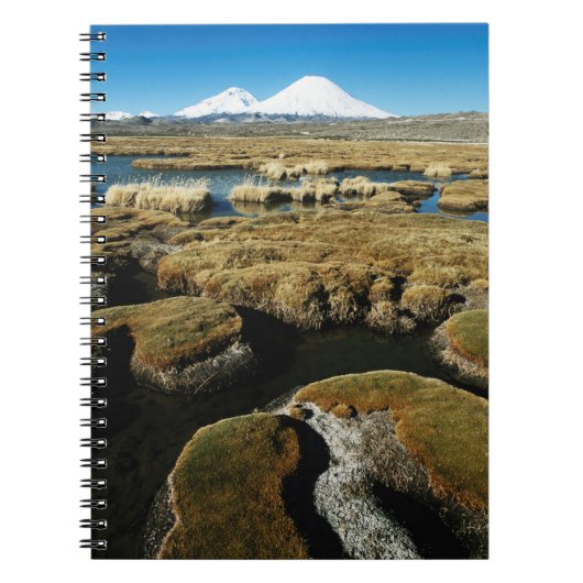 Carnet Volcans Payachalas (Devant)