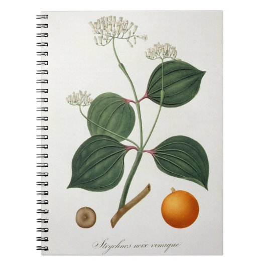 Carnet Vomiquier de Strychnos de 'Phytographie Medicale (Devant)