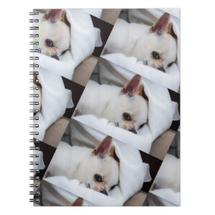 Carnet Votre chiot chien de compagnie photo personnalisée