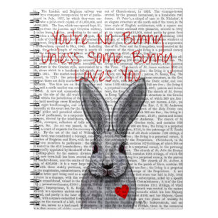 Carnet Vous n'êtes pas Lapin