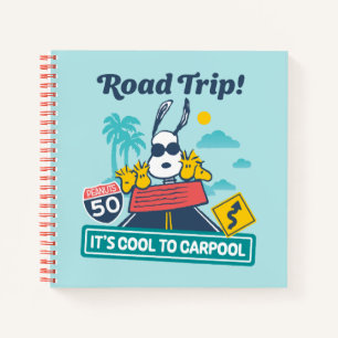 Carnet Voyage sur route   cacahuètes C'est Cool au covoit