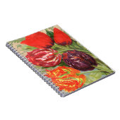 Carnet VTG Tulipes Botaniques (Côté Droit)