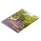 CARNET VTT (Côté gauche)