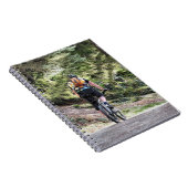 CARNET VTT (Côté Droit)