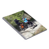 CARNET VTT (Côté Droit)