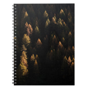 Carnet Vue aérienne des pins