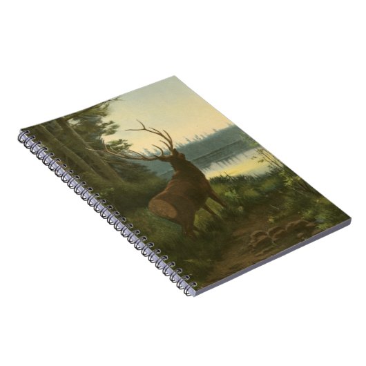 Carnet Vue arrière du lac Elk Vue sur un lac (Côté Droit)