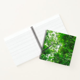 Carnet Vue ascendante d'arbres