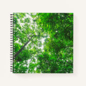 Carnet Vue ascendante d'arbres (Devant)