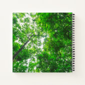 Carnet Vue ascendante d'arbres (Dos)