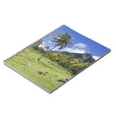 Carnet Vue de Gros Piton le long du sentier historique à (Côté gauche)