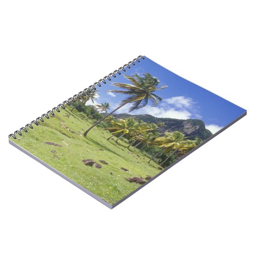 Carnet Vue de Gros Piton le long du sentier historique à (Côté gauche)