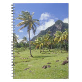 Carnet Vue de Gros Piton le long du sentier historique à (Devant)