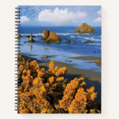 Carnet Vue de la plage de l'Oregon à Bandon (Devant)