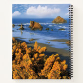 Carnet Vue de la plage de l'Oregon à Bandon (Dos)