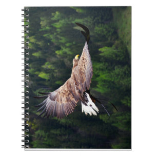 Carnet Vue de l'oeil de l'aigle