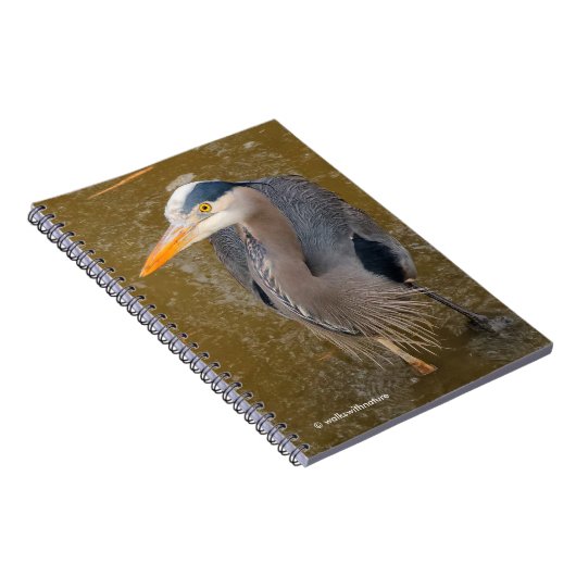 Carnet Vue d'en haut d'un Héron Bleu (Côté Droit)