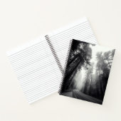 Carnet Vue Des Séquoia Dans La Forêt (Intérieur)