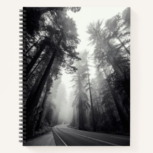 Carnet Vue Des Séquoia Dans La Forêt (Devant)