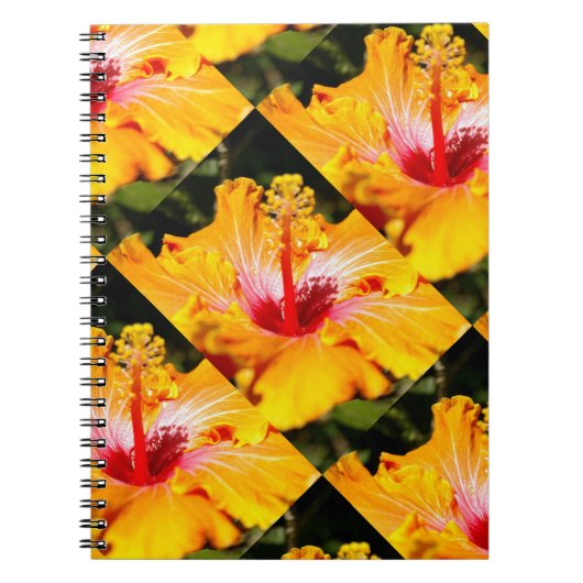 Carnet Vue latérale de la fleur d'hibiscus orange (Devant)