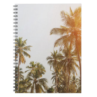 Carnet Vue Pittoresque sur la plage de Palm