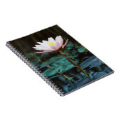 Carnet Vue rapprochée de la nappe phréatique du lac Inle (Côté Droit)